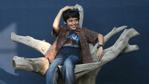 Darsheel Safari, Tare Zamin Par